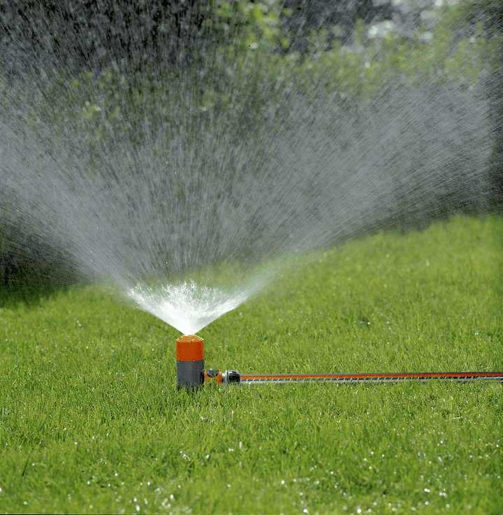 Lawn spike spray sprinkler actively watering with fine water spray