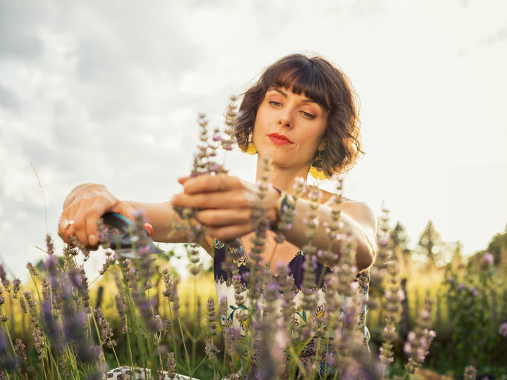Garden secateurs not clearly visible; person holding flowering stems