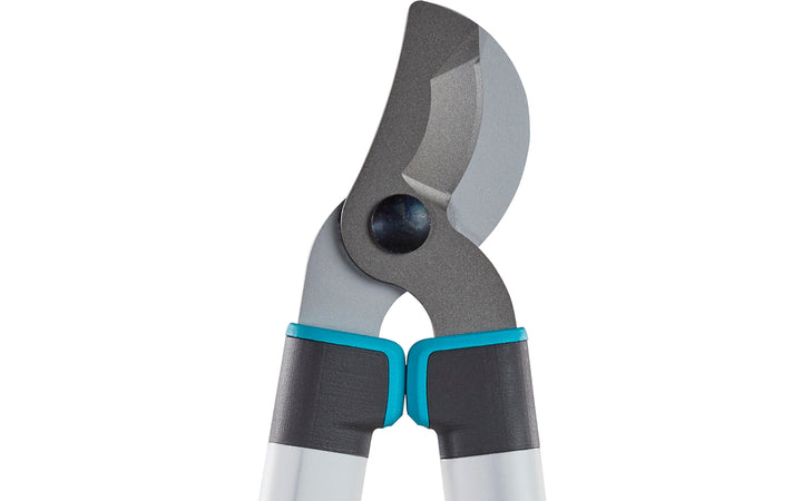 Pruning lopper held overhead for trimming, with silver arms and teal grips
