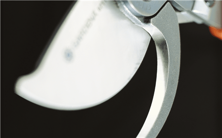 Close-up of lopper cutting blade with curved metal jaw