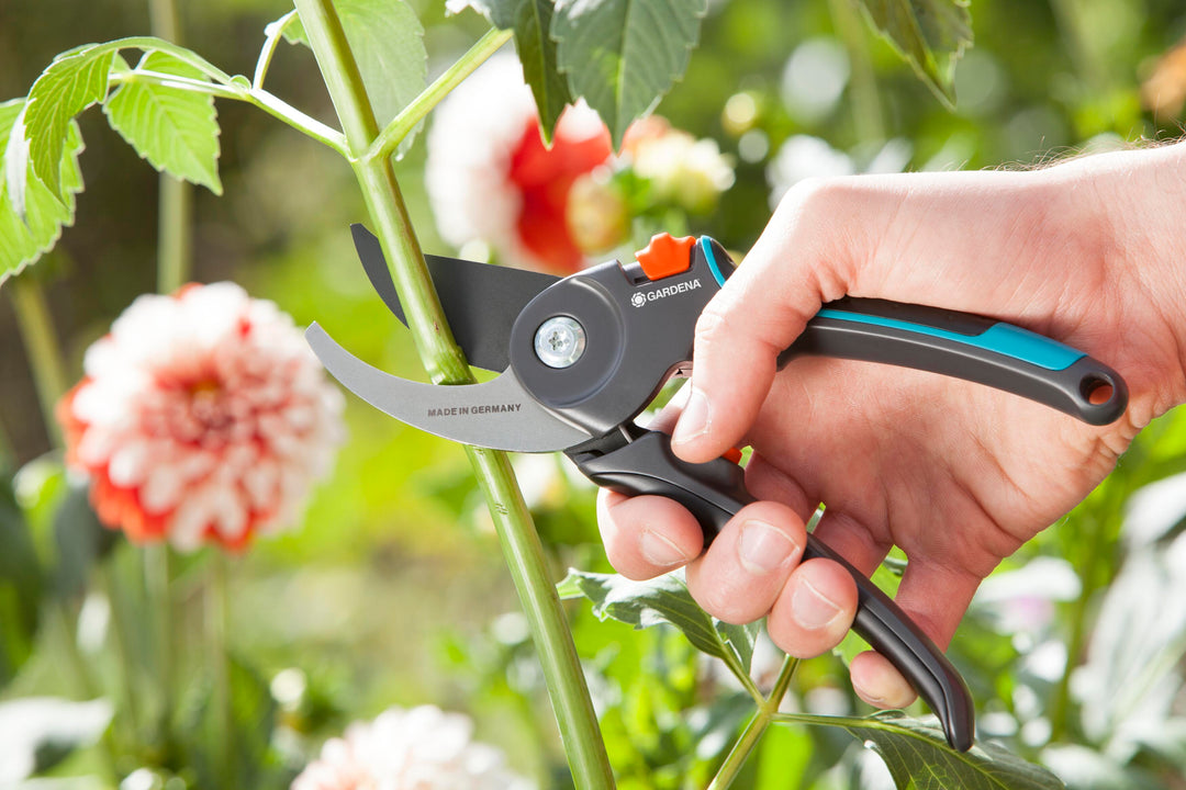Hand holding garden secateurs with black-and-teal handles and orange button near stems