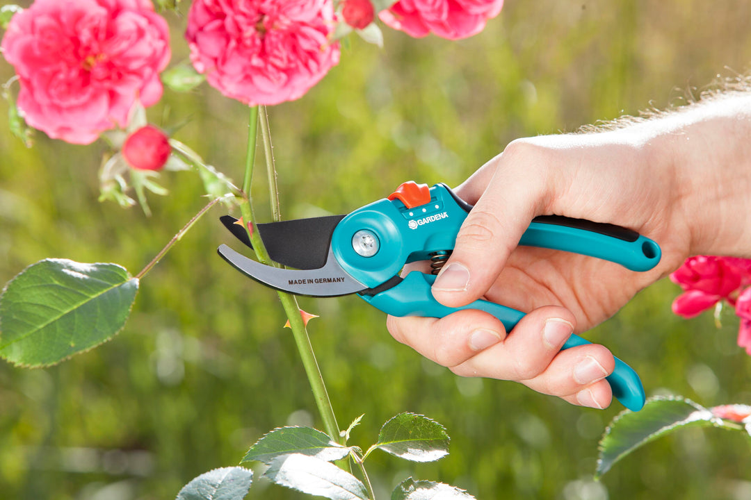 Garden pruners held in hand; turquoise handles with black blade and orange lock