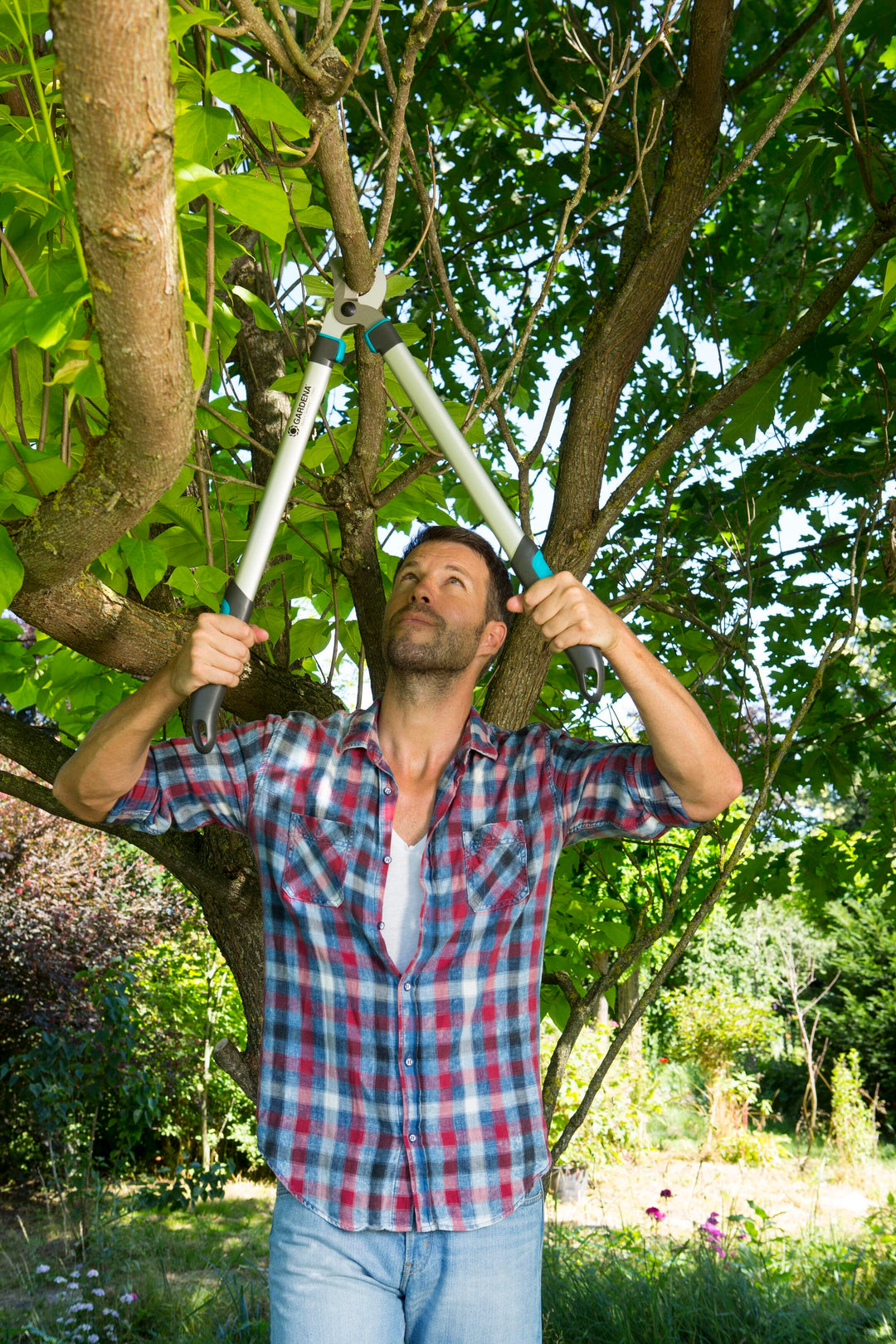 Pruning lopper blade head close-up with black blades and teal handle trim