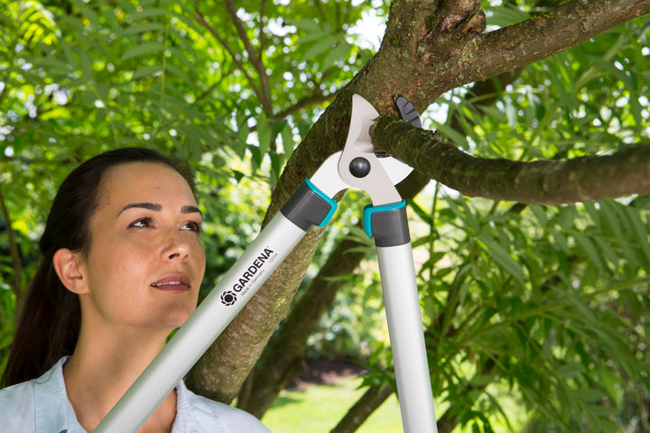 Pruning lopper cutting a tree branch near the curved jaws