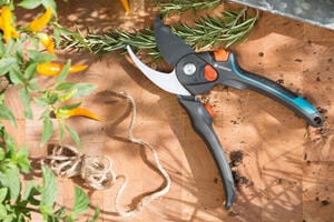 Hand-held garden secateurs with black, teal, and orange accents cutting stems