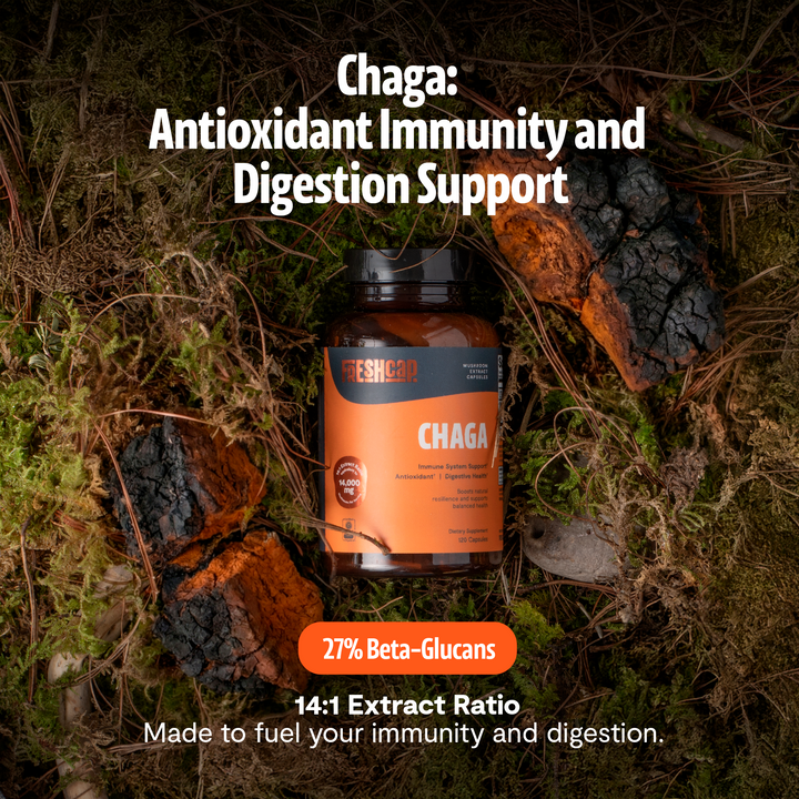 FreshCap chaga capsules bottle on rocks with 27% beta-glucans badge