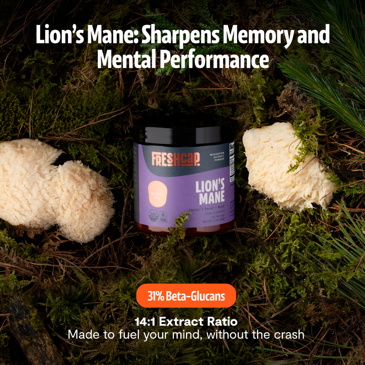 Lion’s Mane mushroom powder jar in moss with 31% beta-glucans badge