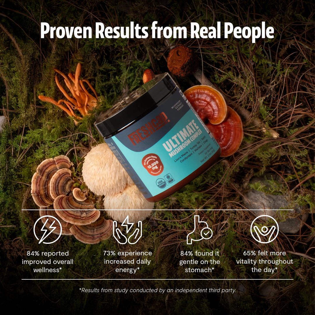 Mushroom extract powder blend jar with dried mushrooms on forest floor