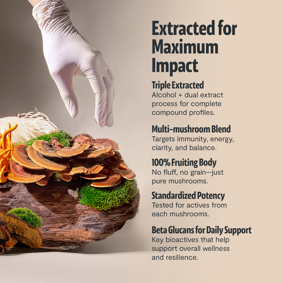 Triple-extracted organic mushroom blend jar with multi-mushroom and 100% fruiting body info