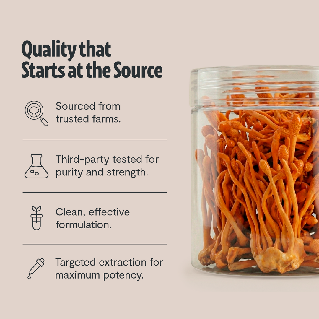 Clear container of orange cordyceps mushrooms beside a quality information panel