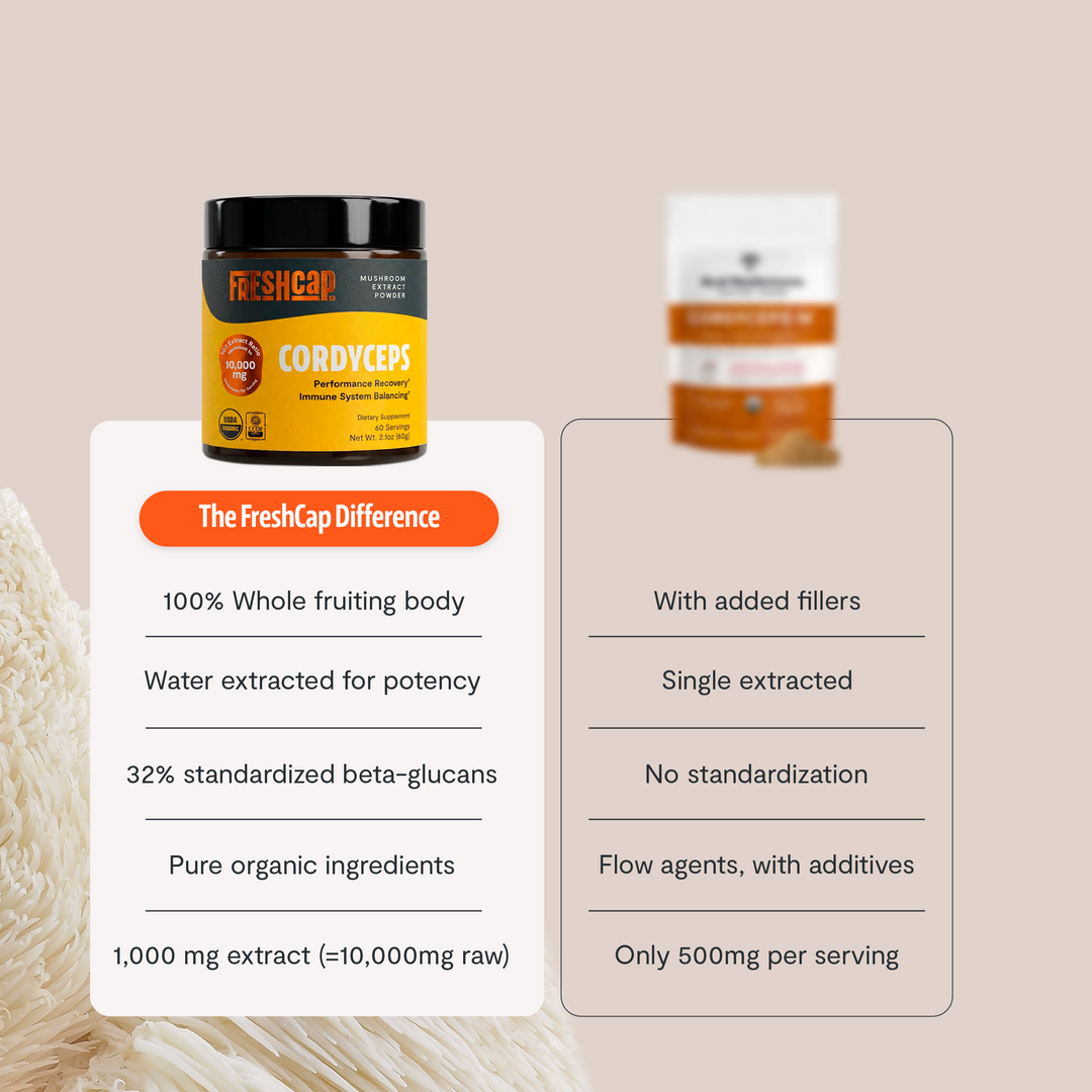 Cordyceps supplement jar with black lid and yellow label, next to comparison cards
