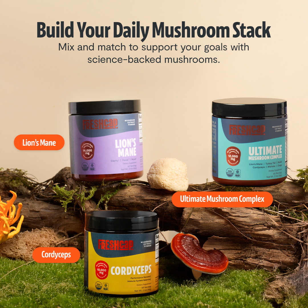 Cordyceps supplement jar with yellow label among other mushroom supplement bottles on wood