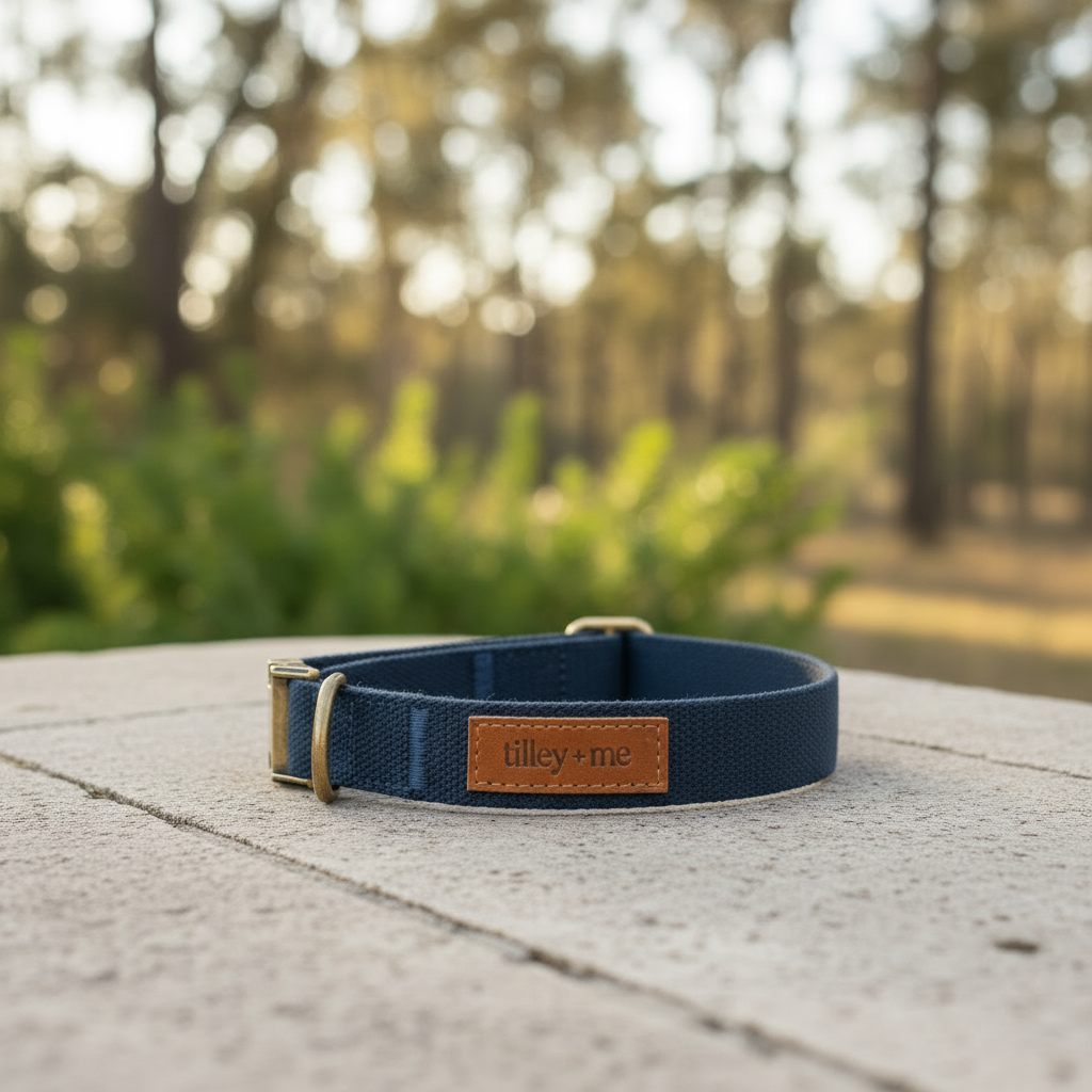 Tilley + Me Joshua Tree Hemp Cotton Dog Collar