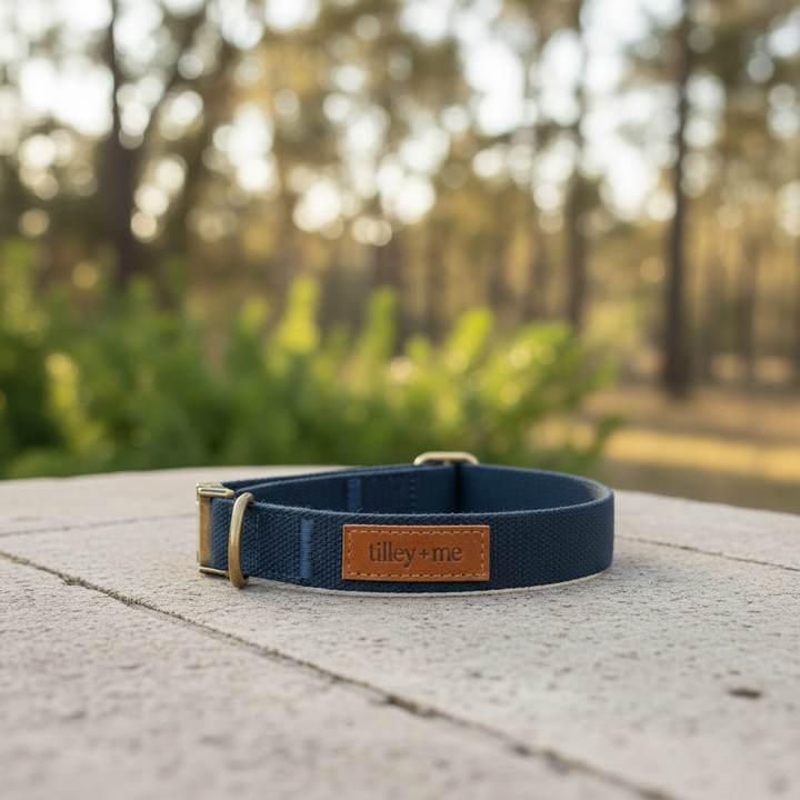 Tilley + Me Joshua Tree Hemp Cotton Dog Collar