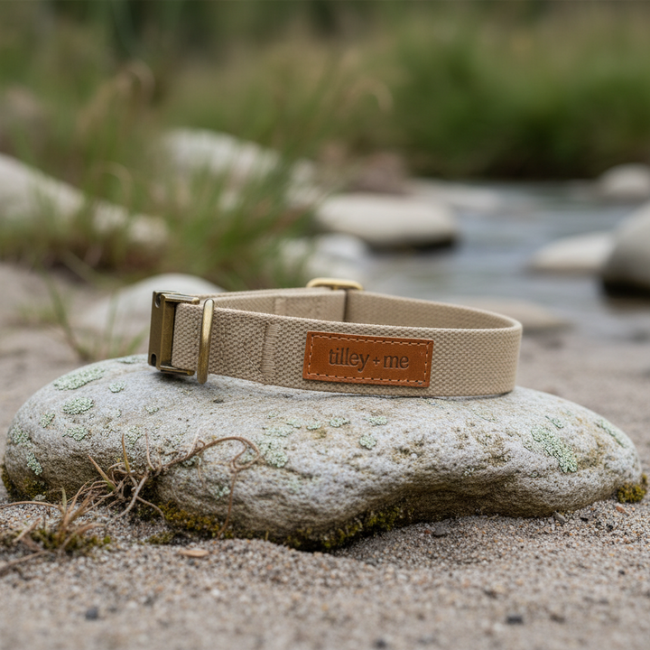 Tilley + Me Joshua Tree Hemp Cotton Dog Collar