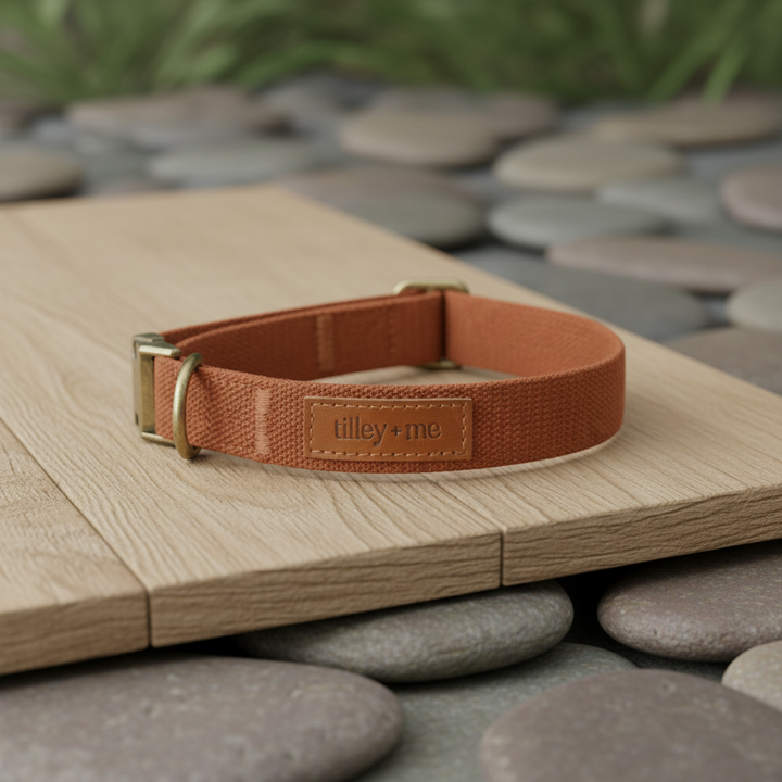Tilley + Me Joshua Tree Hemp Cotton Dog Collar