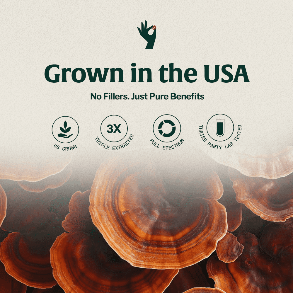 Reishi mushroom coffee infographic with reishi mushrooms and “Grown in the USA” icons