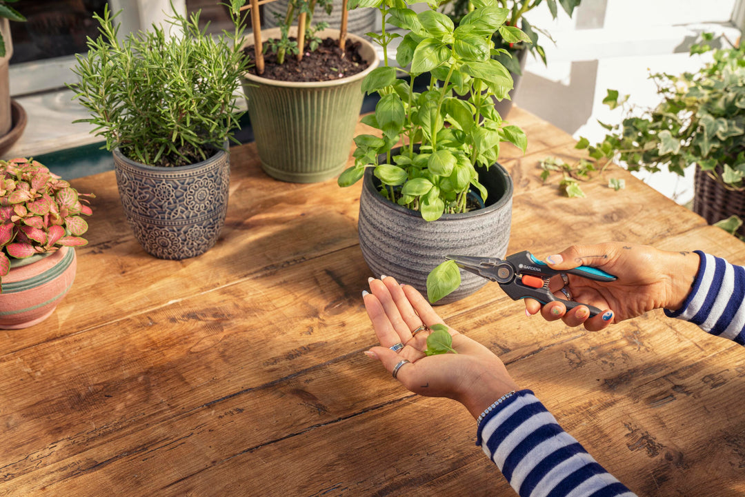 GripCut scissors cutting leaves with blue handles in a kitchen garden setting