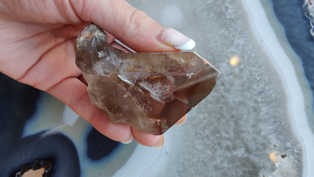 Smoky quartz crystal with rough brown exterior and clear faceted top, held in fingers.