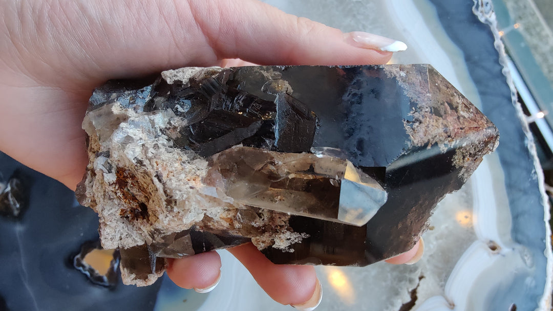 Smoky quartz point cluster with shiny dark brown facets and rough mineral base