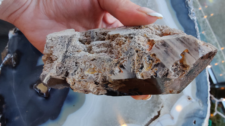 Smoky quartz cluster with clear to smoky points, set in white-gray rough rock