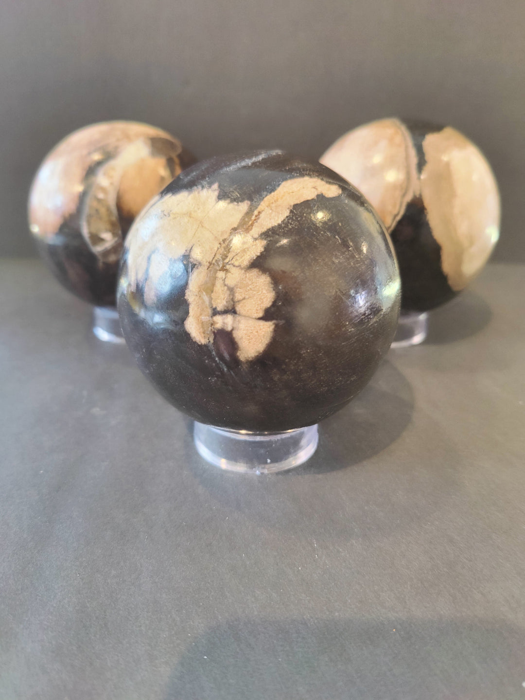 Petrified wood orb with dark smoky and tan fossil-like swirls, on clear display stand