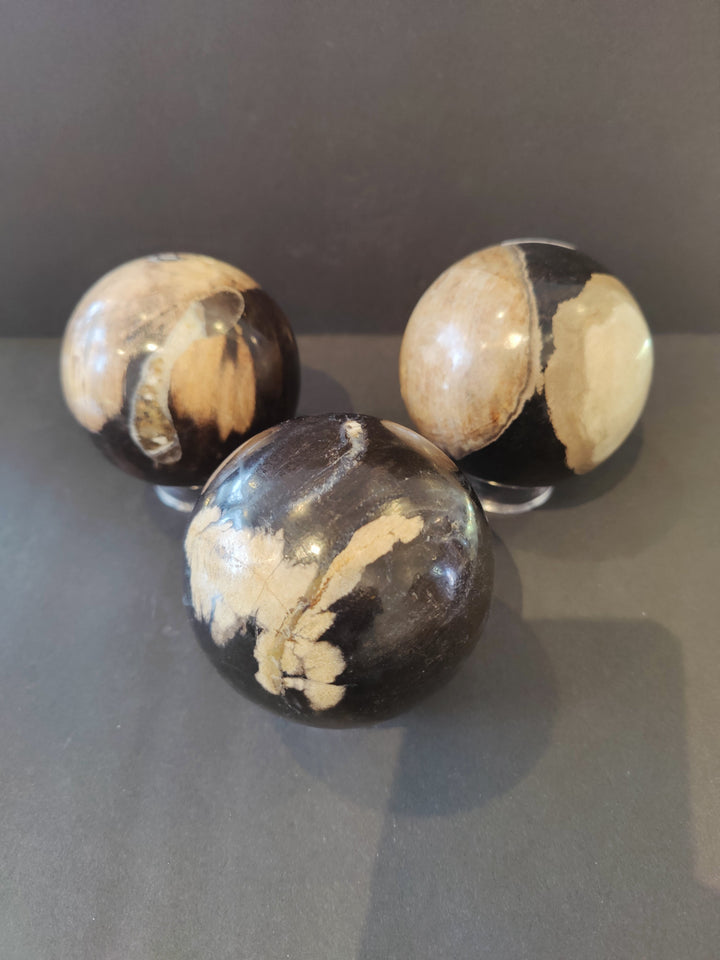 Petrified wood spheres set: one dark orb with tan veining, two lighter tan orbs