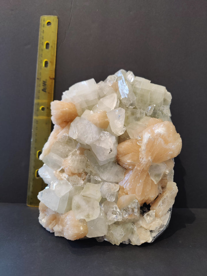 Apophyllite mineral specimen with white and peach crystals beside measuring ruler