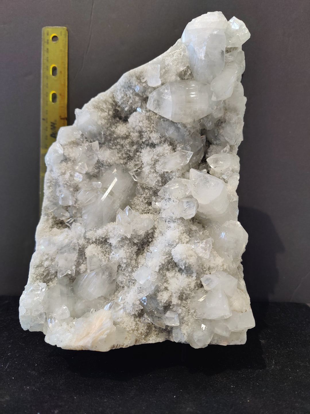 Apophyllite cabinet specimen with clear white crystal points on gray sparkly matrix; with ruler