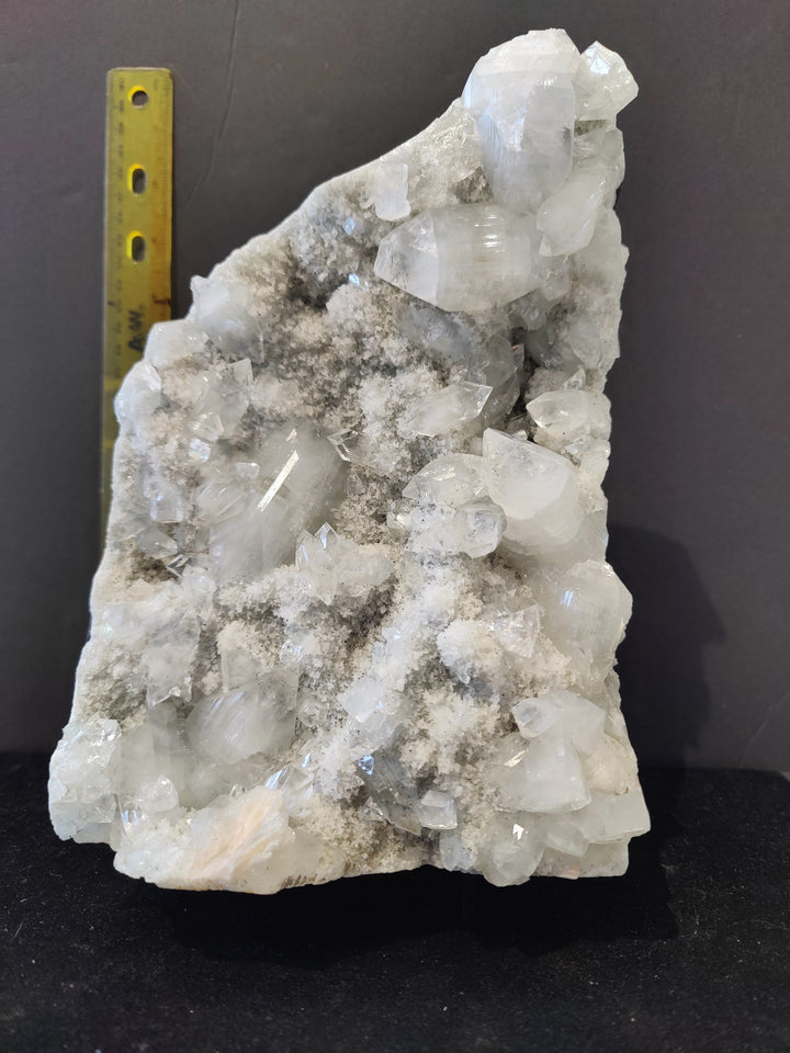 Apophyllite cabinet specimen with clear white crystal points on gray sparkly matrix; with ruler