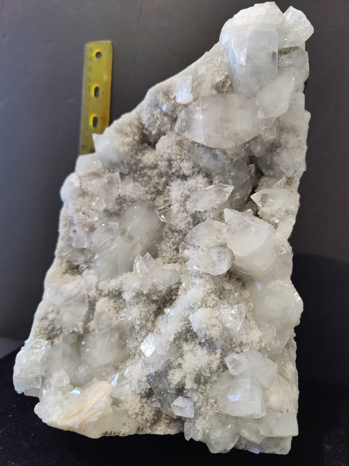 Apophyllite cabinet specimen with clear white, faceted crystals on gray mineral matrix; with ruler