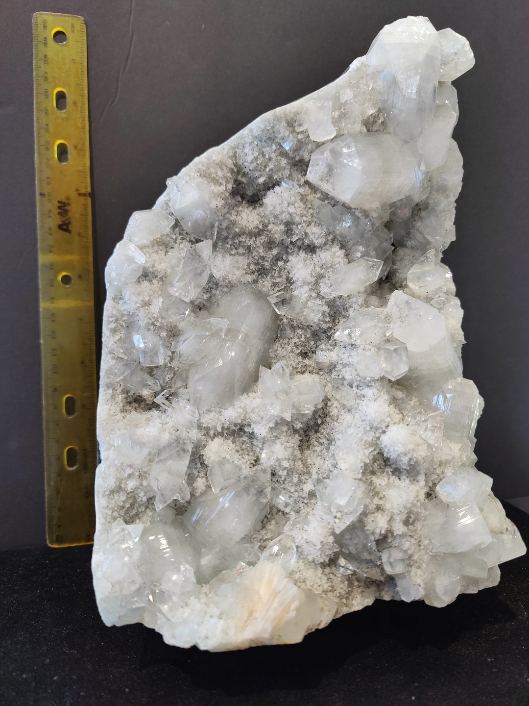 Apophyllite cabinet specimen with dense clear crystals and gray mineral inclusions; with ruler
