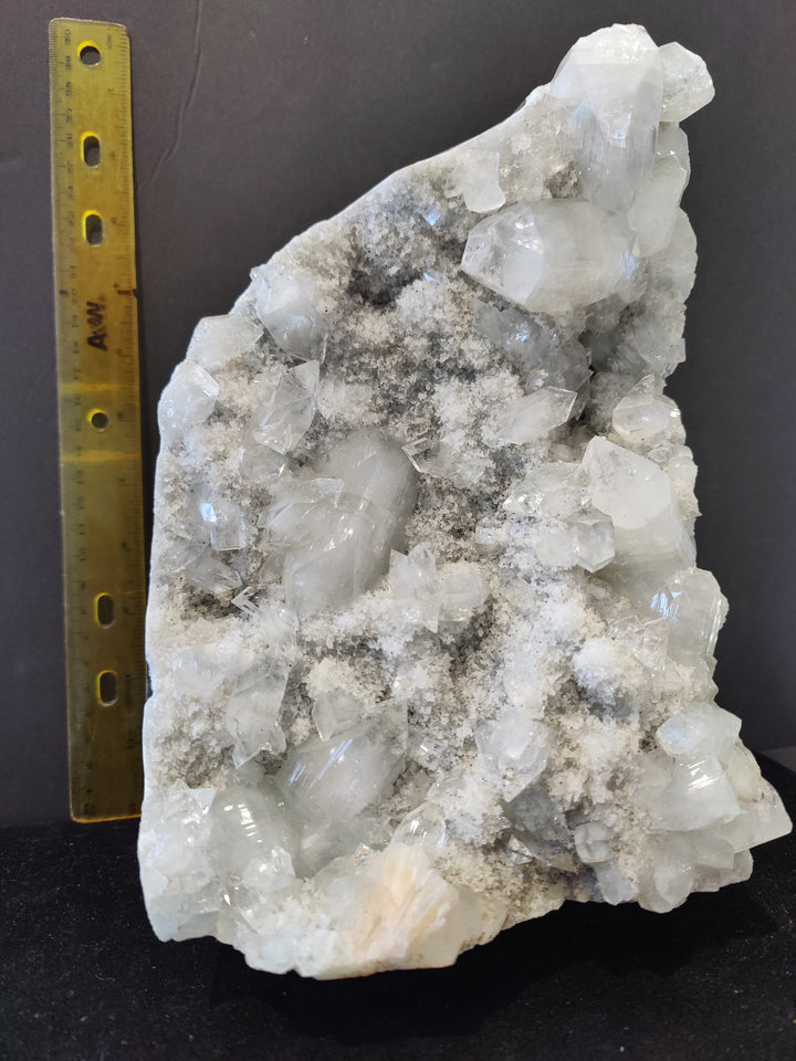 Apophyllite cabinet specimen with dense clear crystals and gray mineral inclusions; with ruler