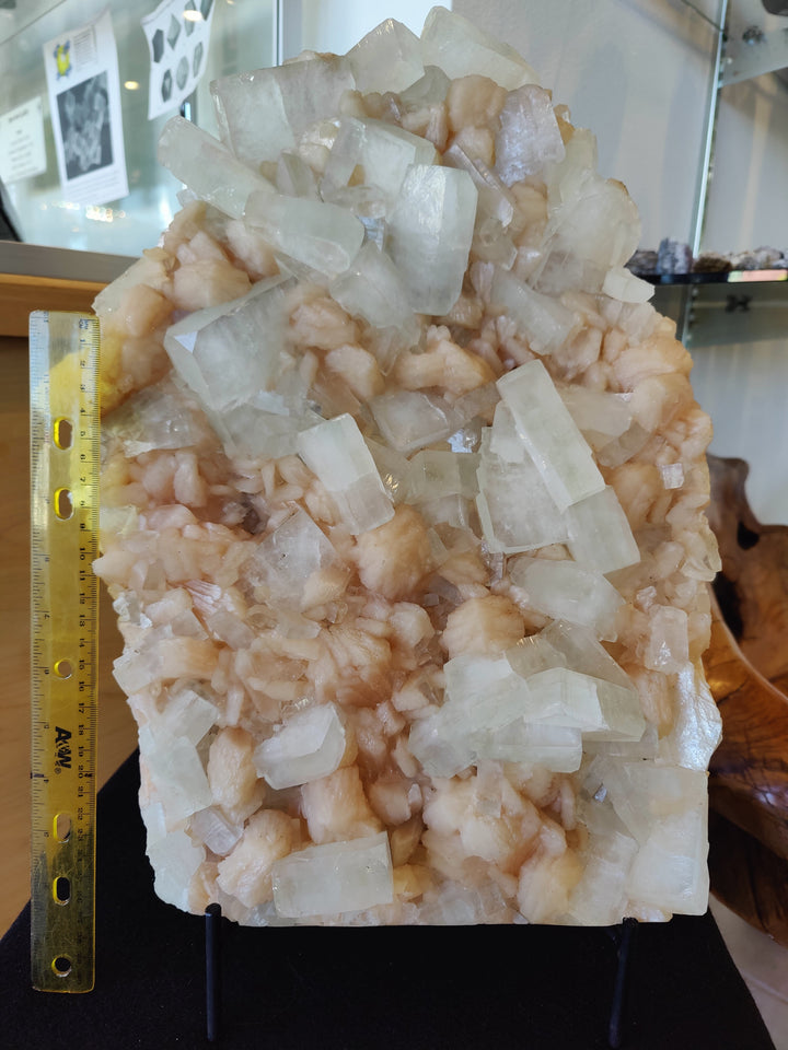 Clear and peach crystal specimen on black stand with yellow ruler for scale
