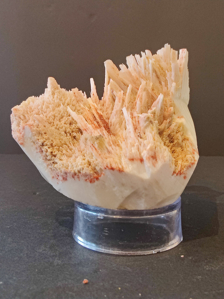 Mordenite mineral specimen with peach-orange crystal needles on white matrix