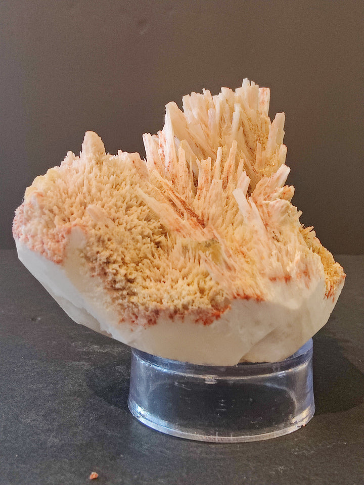 Orange and white mordenite crystal needles on a curved white rock base