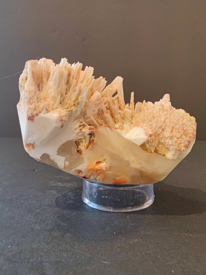 Side view mordenite crystal specimen with peach spikes on white matrix