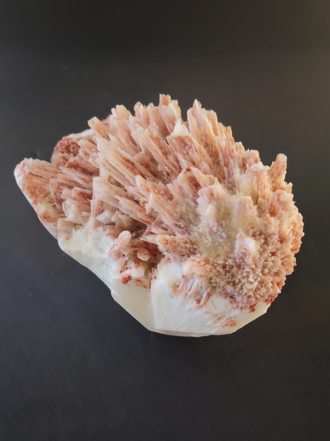 Mordenite and stilbite mineral specimen with dense peach crystal fan on white