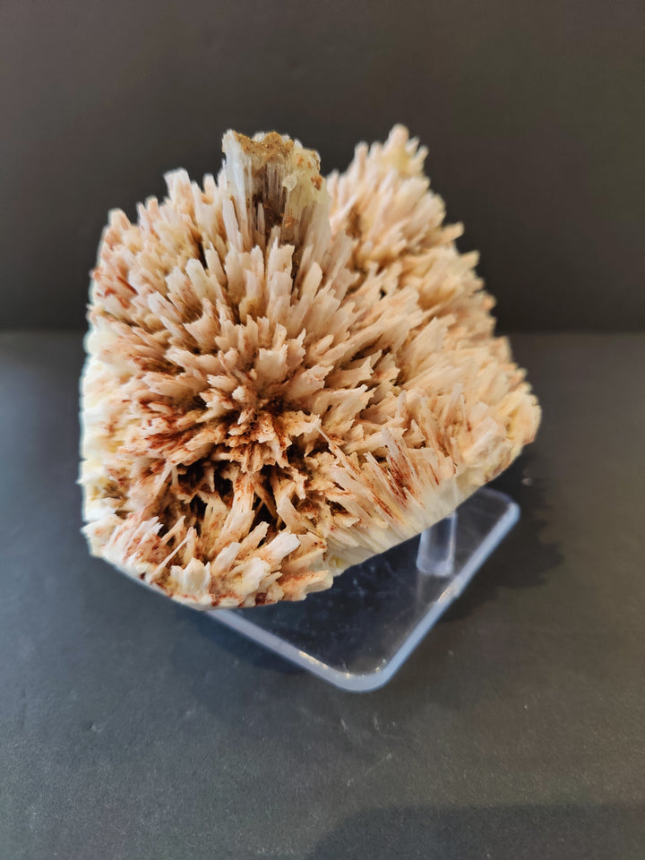 Red mordenite and stilbite crystal cluster, angled view on clear stand.