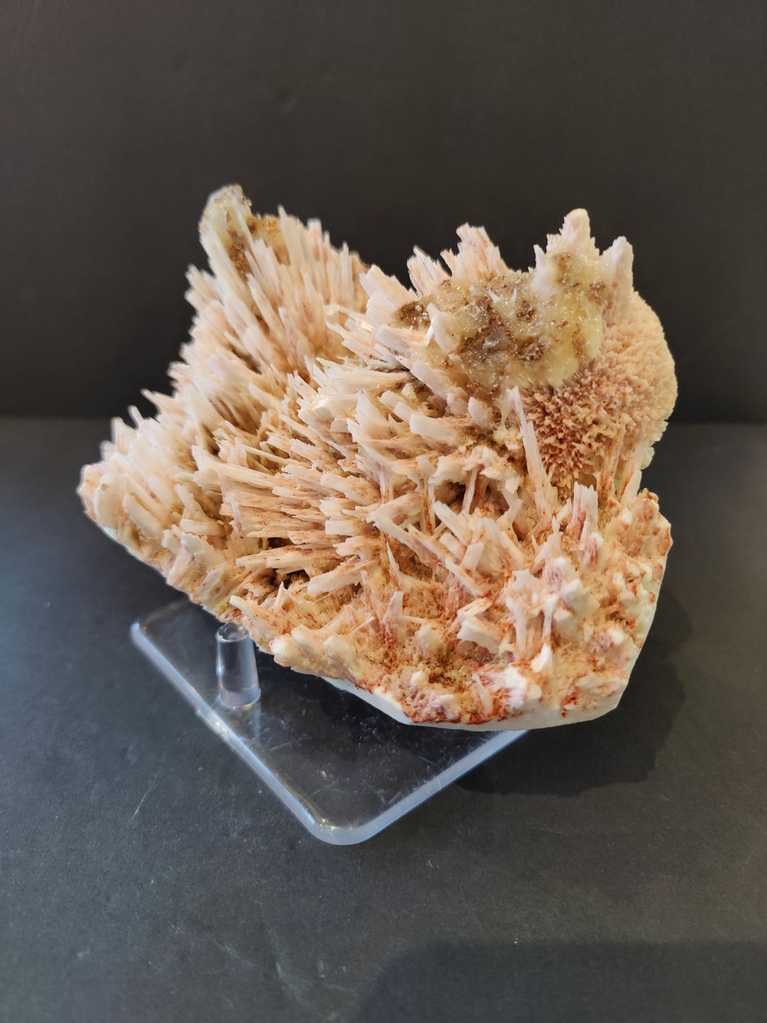 Red mordenite and stilbite crystal cluster on clear stand, side view.