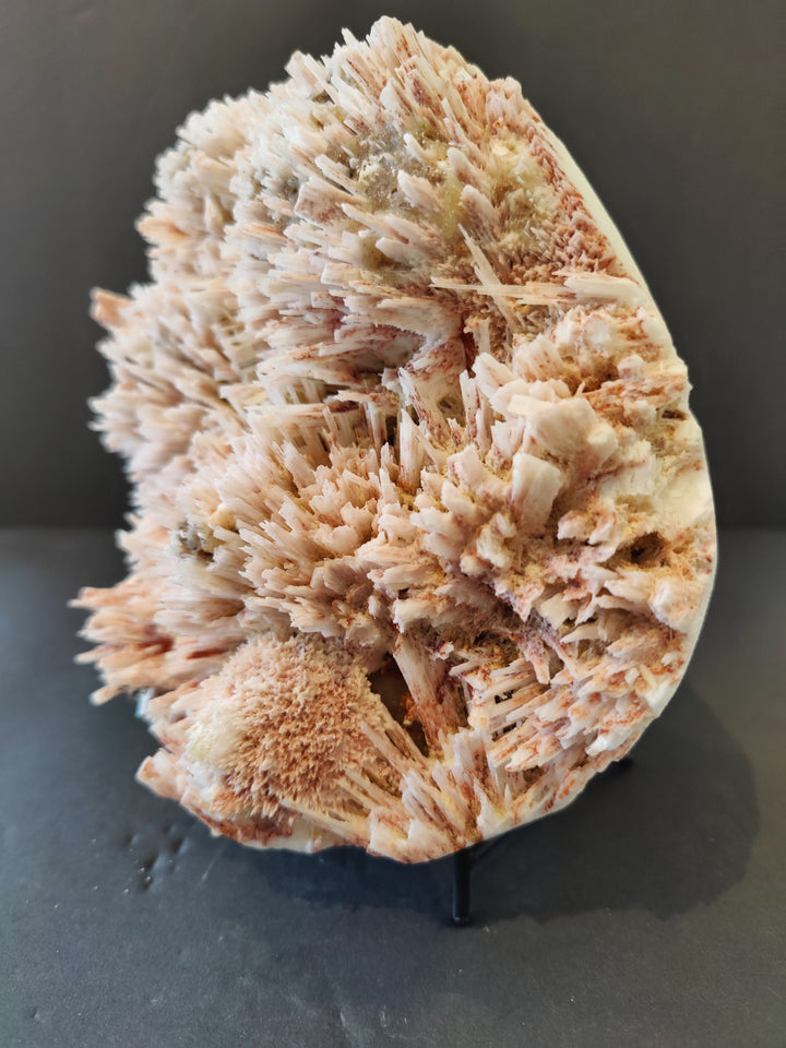Mineral specimen slice with dense tan crystal fan and reddish-brown streaks
