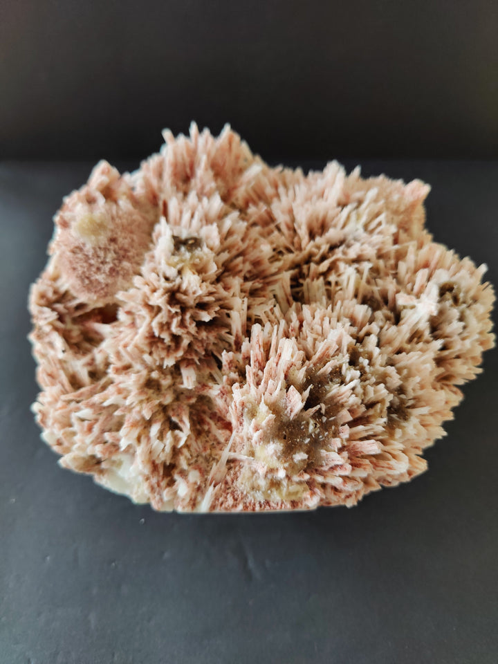Tan and peach mineral cluster specimen with spiky crystal growth on dark base