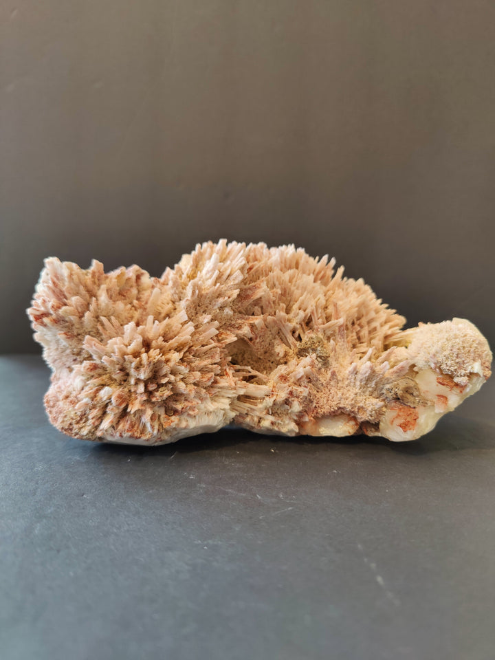 Mineral crystal specimen with beige branching formations on white base