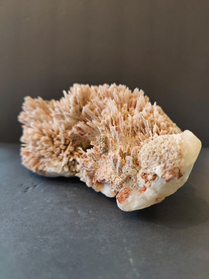 Mineral crystal specimen with dense beige needle clusters and cream matrix