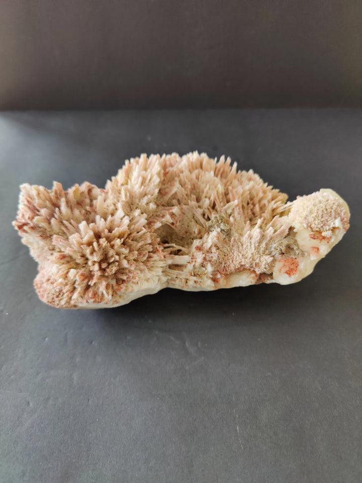 Mineral crystal specimen with long beige crystal needles across white matrix