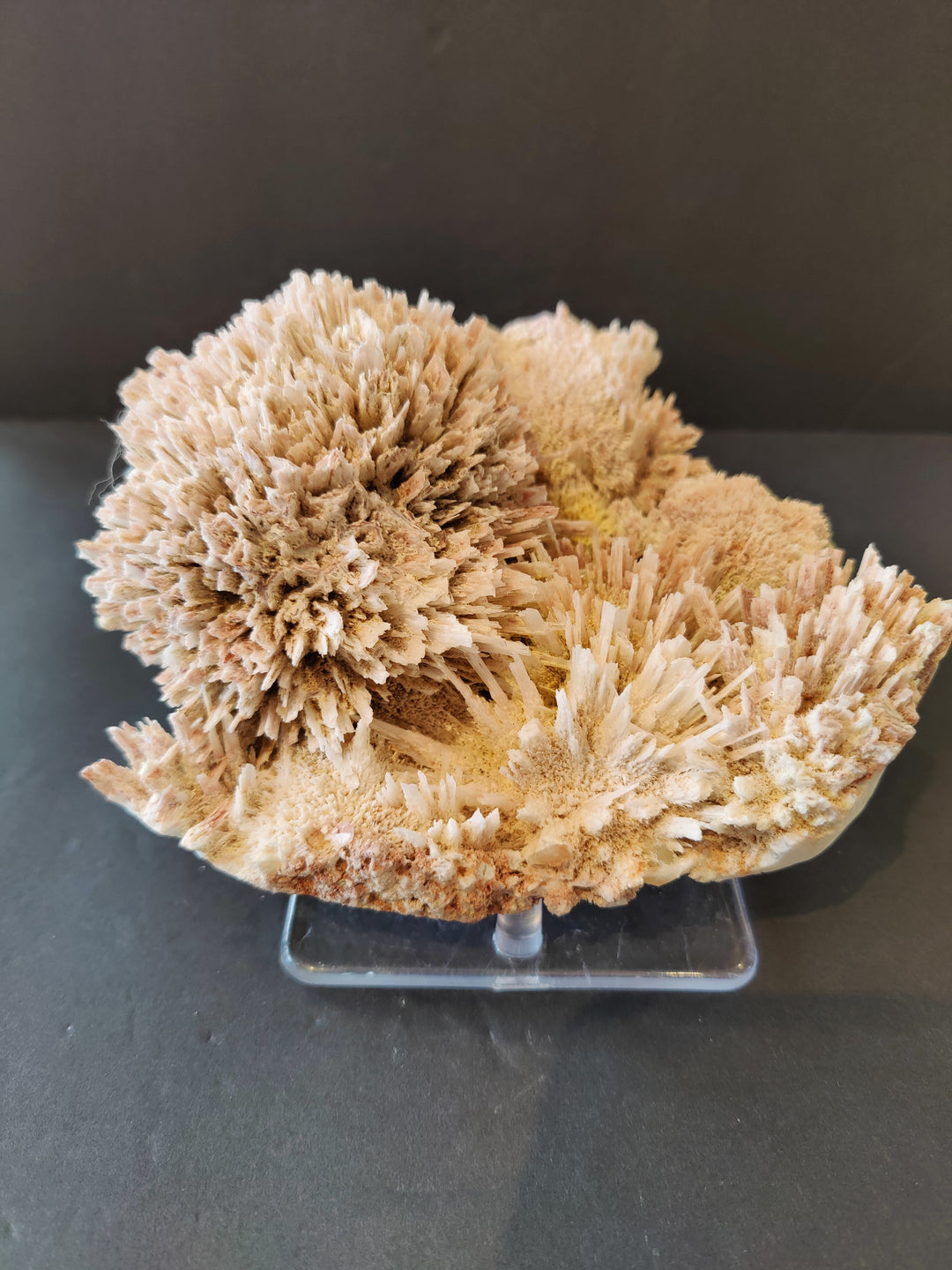 Beige mordenite and stilbite mineral cluster on clear display stand