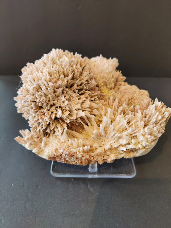 Beige mordenite and stilbite mineral cluster on clear display stand