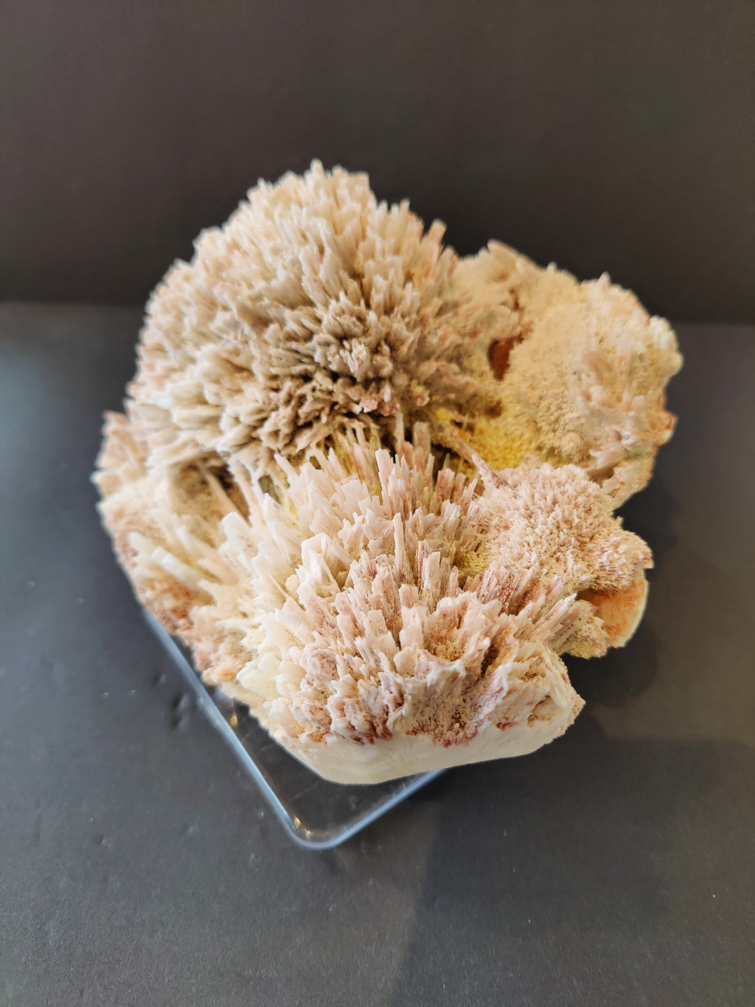 Light beige crystal cluster mineral specimen on clear triangular stand