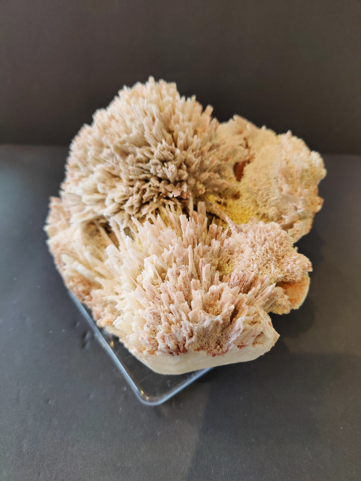 Light beige crystal cluster mineral specimen on clear triangular stand