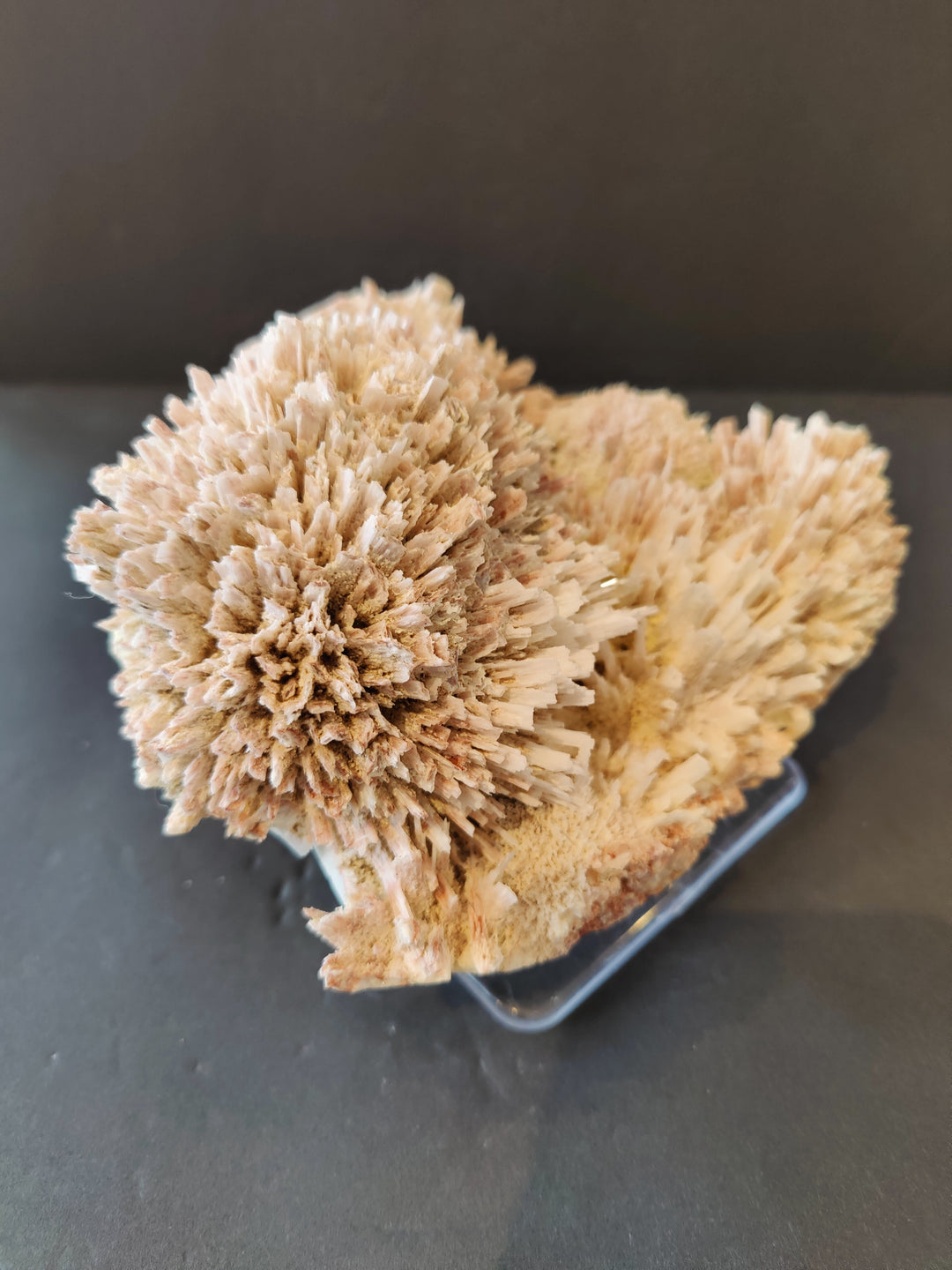 Beige mordenite and stilbite crystal spray specimen on clear stand, side view